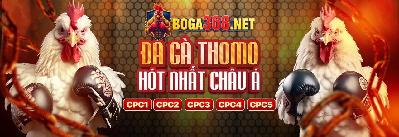 Các trò chơi casino đa dạng tại 8US chính thức