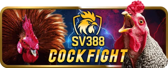 Chương trình VIP 8us