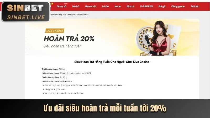 Giới Thiệu Nền Tảng 8us Chính Thức